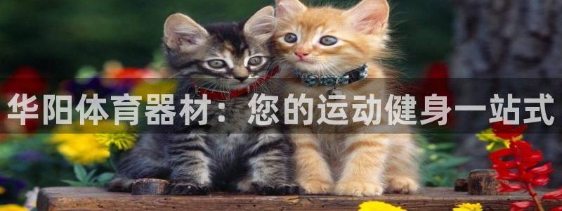 富联智能：华阳体育器材：您的运动健身一站式