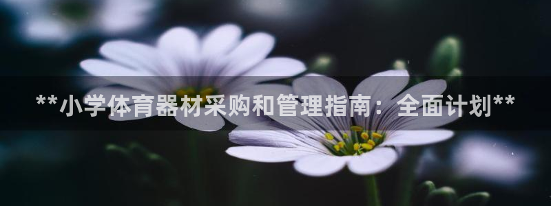 富联平台登录注册账号：**小学体育器材采购和管理指南