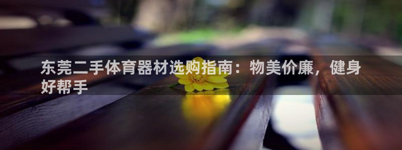 富联官方网站入口网址：东莞二手体育器材选购指南：物美