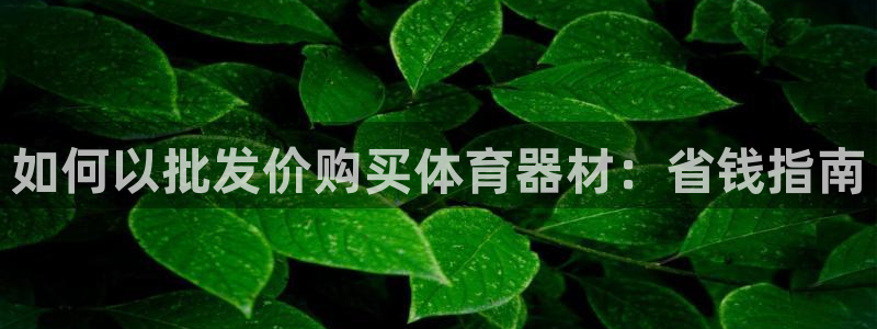 富联工坊：如何以批发价购买体育器材：省钱指南