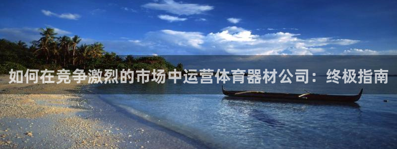 富联是什么：如何在竞争激烈的市场中运营体育器材公司：
