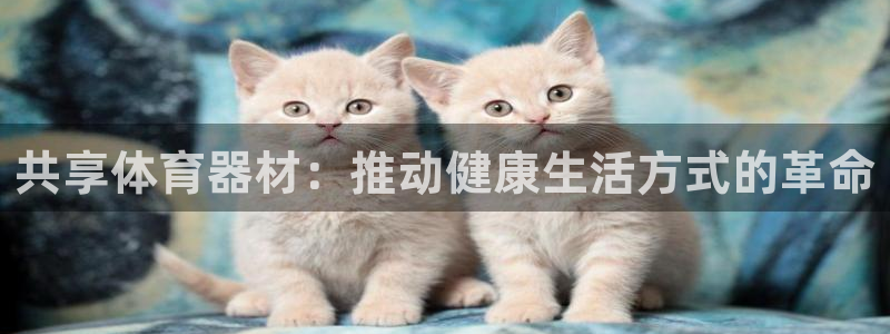 富联平台登陆：共享体育器材：推动健康生活方式的革命