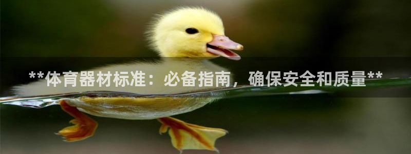 富联官方网站首页登录入口：**体育器材标准：必备指南
