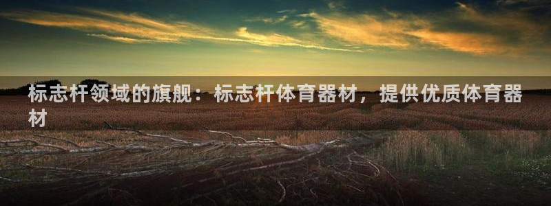 富联平台孩7O777：标志杆领域的旗舰：标志杆体育器