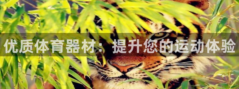 杭州富联科技：优质体育器材：提升您的运动体验