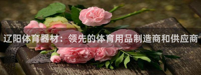 富联平台赢钱不给退怎么办呀：辽阳体育器材：领先的体育