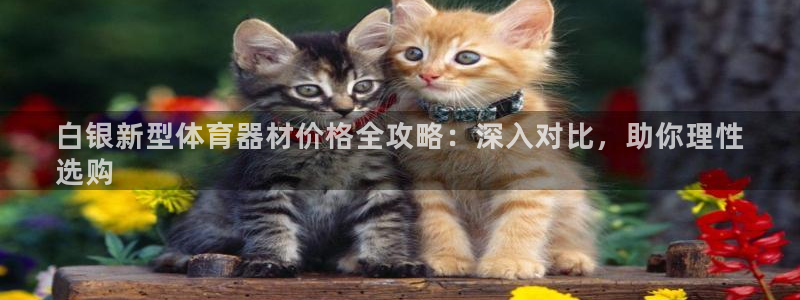 富联官网注册不了账号吗：白银新型体育器材价格全攻略：