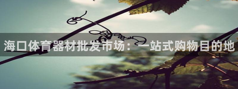 富联申购可以赚多少钱：海口体育器材批发市场：一站式购