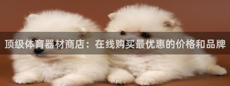 富联娱乐登录注册入口官网下载安装：顶级体育器材商店：