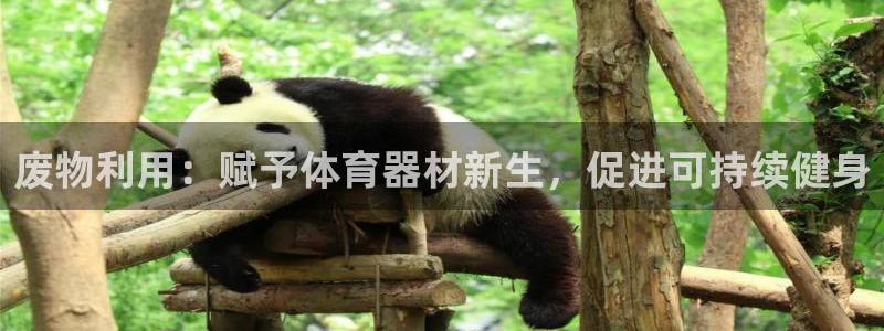 富联平台用户登陆不上：废物利用：赋予体育器材新生，促