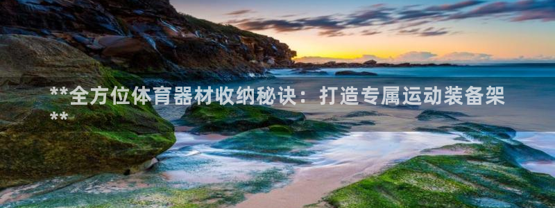 香港富联集团：**全方位体育器材收纳秘诀：打造专属运