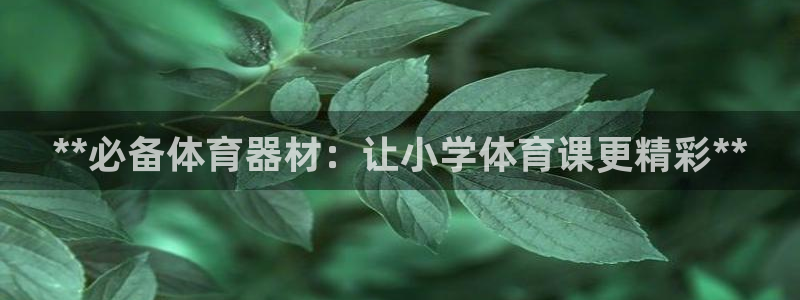 富联官方网站首页入口网址：**必备体育器材：让小学体