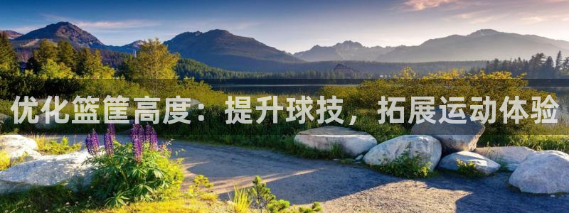 富联娱乐马 5O6917 娱乐：优化篮筐高度：提升球