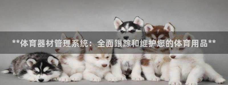 富联平台选 58534I 富联：**体育器材管理系统