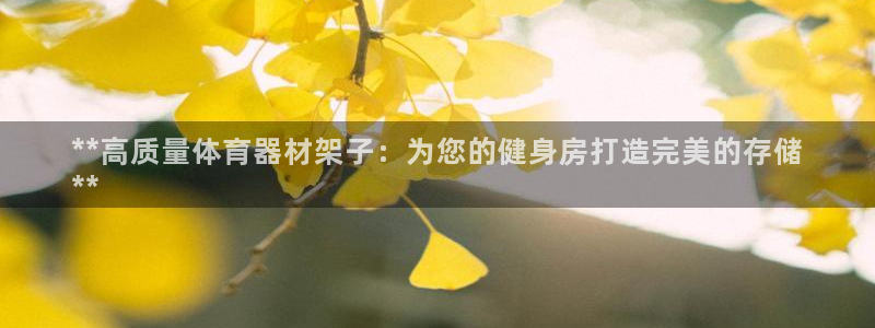 富联申购上市价格预测：**高质量体育器材架子：为您的