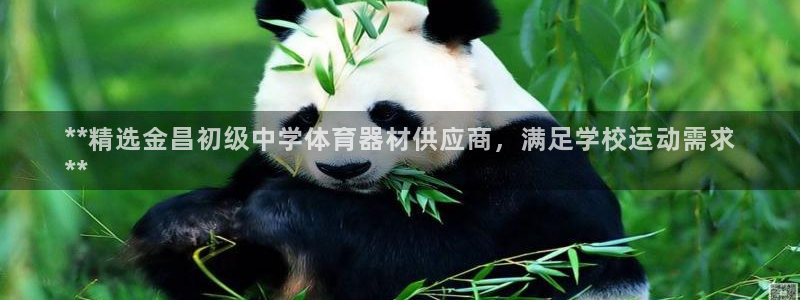 富联丰地产怎么样：**精选金昌初级中学体育器材供应商