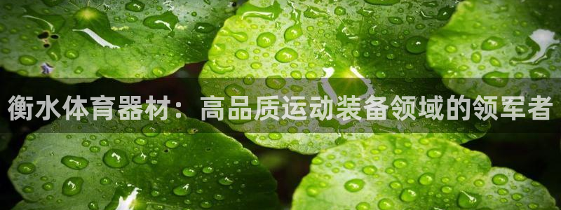 富联平台官网登录入口下载：衡水体育器材：高品质运动装
