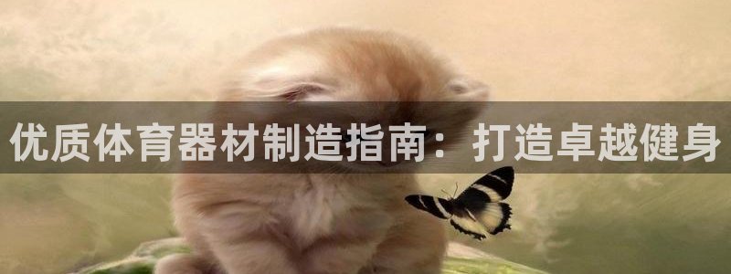 富联官网登录网址：优质体育器材制造指南：打造卓越健身