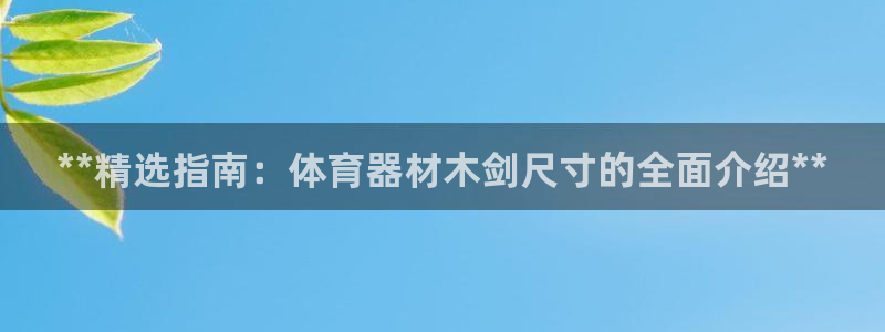 富联集团做什么的啊：**精选指南：体育器材木剑尺寸的