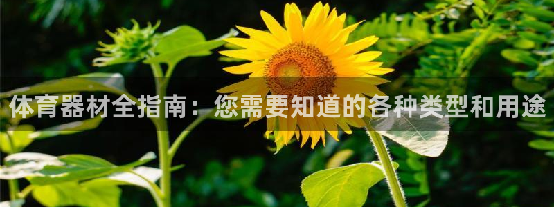 富联平台靠 5o69I7：体育器材全指南：您需要知道