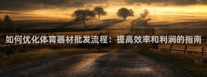 富联平台注册登录入口：如何优化体育器材批发流程：提高