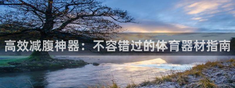 富联平台安装app：高效减腹神器：不容错过的体育器材