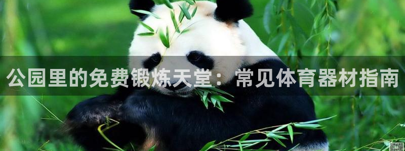 富联网是什么意思：公园里的免费锻炼天堂：常见体育器材