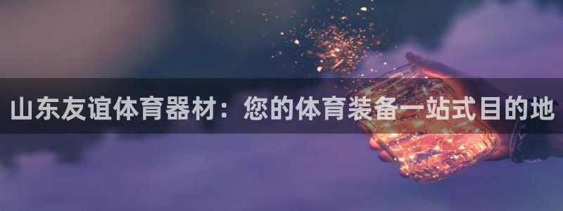 富联平台人 5O6917 富联：山东友谊体育器材：您