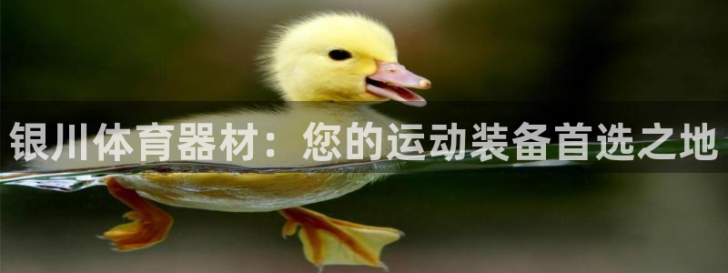 富联娱乐合作 58534I 娱乐：银川体育器材：您的