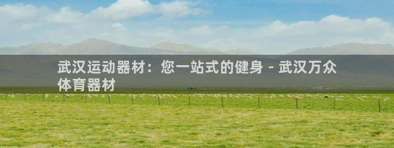 富联平台强 3.7.oo.7.3.5：武汉运动器材：