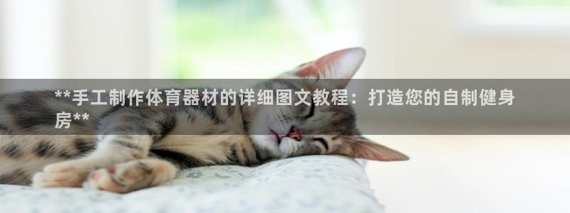 富联平台登录网址是什么：**手工制作体育器材的详细图