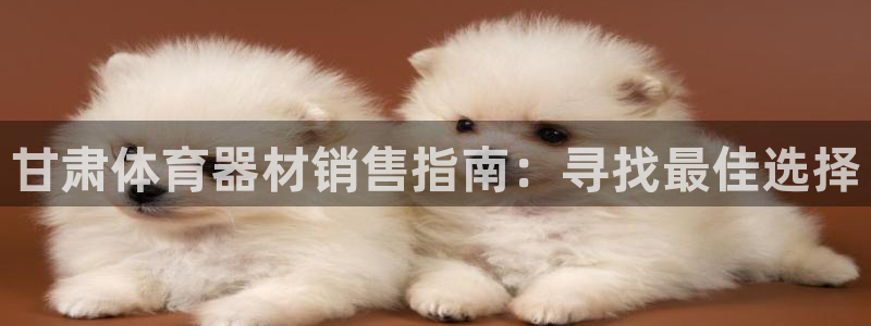 富联官方网站入口查询：甘肃体育器材销售指南：寻找最佳