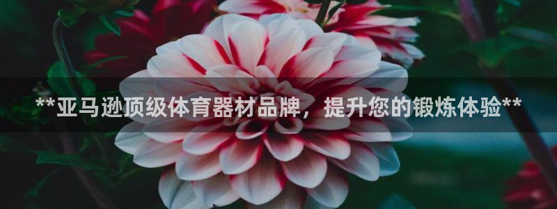富联娱乐爱7O777：**亚马逊顶级体育器材品牌，提
