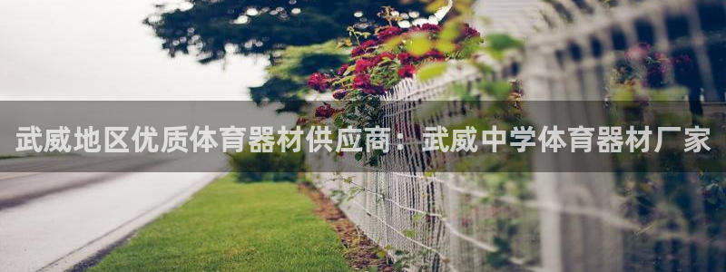 富联娱乐平台开户流程图：武威地区优质体育器材供应商：