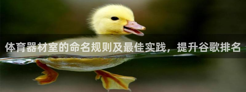 富联官方网站入口下载：体育器材室的命名规则及最佳实践
