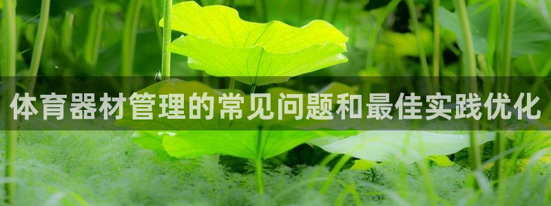 富联娱乐平台能挣到钱吗：体育器材管理的常见问题和最佳
