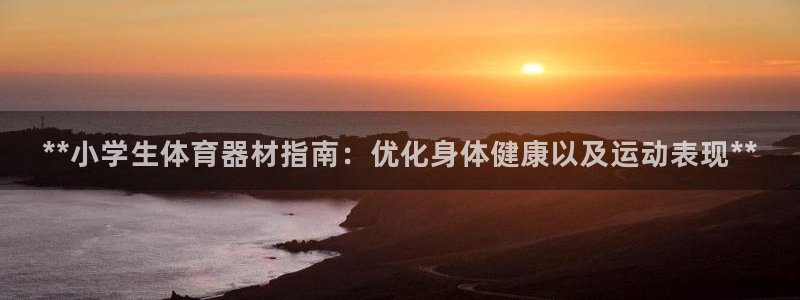 富联平台挂机：**小学生体育器材指南：优化身体健康以