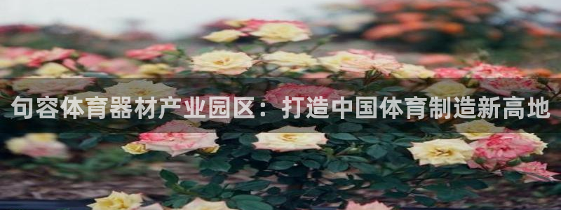 富联集团最新消息股价：句容体育器材产业园区：打造中国