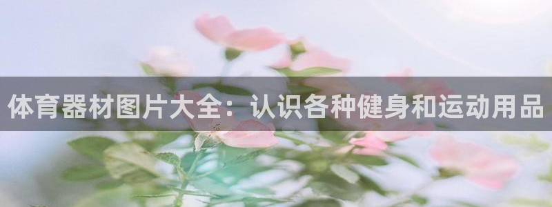 富联娱乐玩法机制是什么：体育器材图片大全：认识各种健