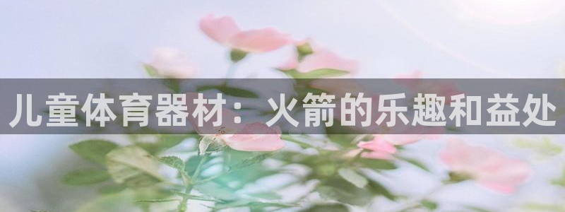 富联平台登录：儿童体育器材：火箭的乐趣和益处
