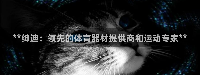 富联官方网站下载安装最新版：**绅迪：领先的体育器材提供商和
