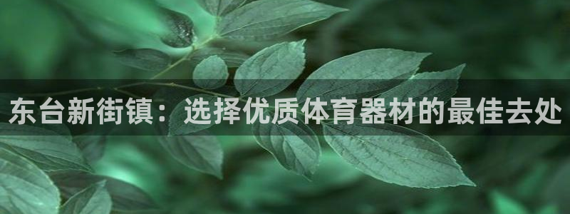 富联官网代理系列是正品吗：东台新街镇：选择优质体育器
