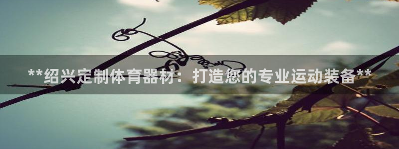 富联科技上市了吗最近：**绍兴定制体育器材：打造您的