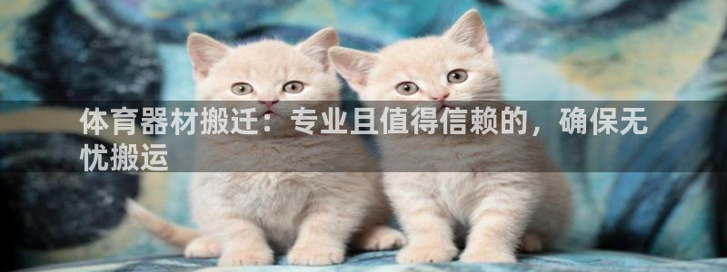 富联娱乐在线注册链接怎么弄：体育器材搬迁：专业且值得
