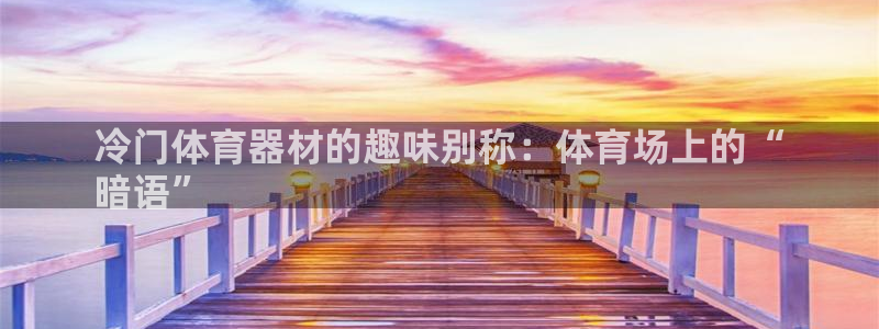 富联官网注册不了账号吗：冷门体育器材的趣味别称：体育