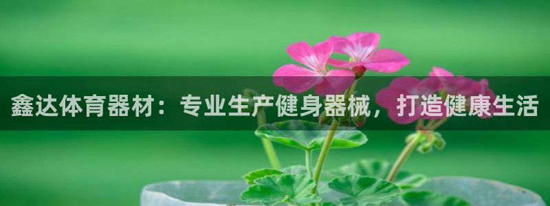 富联股份代码是多少：鑫达体育器材：专业生产健身器械，打造健康