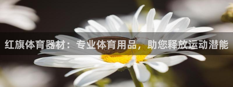富联娱乐平台开户条件是什么：红旗体育器材：专业体育用