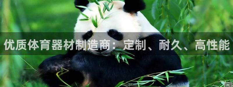 富联官网注册不了账号：优质体育器材制造商：定制、耐久