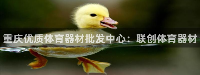 富联平台官网登录入口网址：重庆优质体育器材批发中心：联创体育