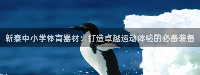 富联娱乐玩法机制是什么：新泰中小学体育器材：打造卓越
